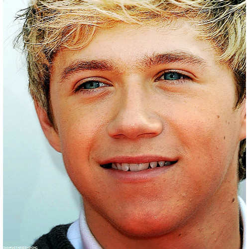 Niall-Horan-niall-horan-30609241-500-500